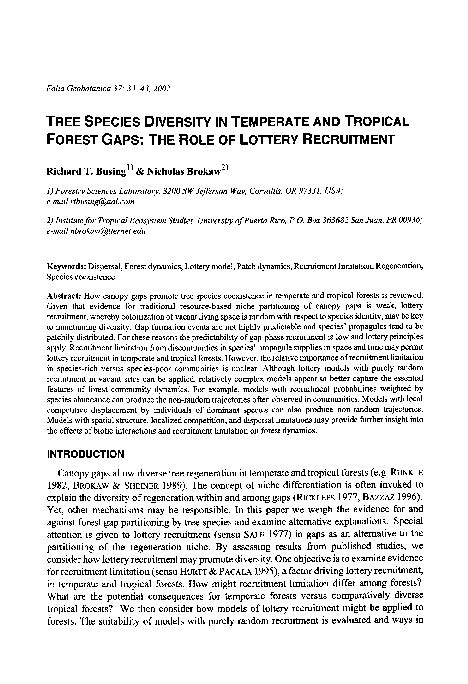 lottery model ecology|Forest Gaps: The Role of Lottery Recruitment .